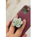 Succulent phone grip, echeveria accessory phone holder, cellphone cover accessory, phone grip, polymer clay phone grip, succulent