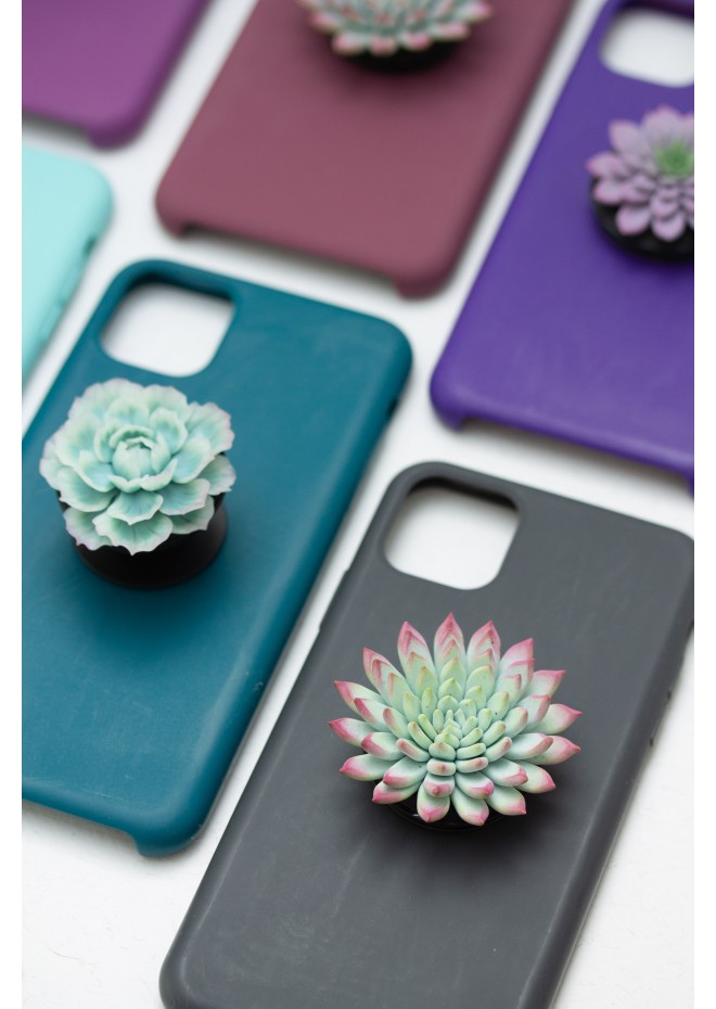 Succulent phone grip, echeveria accessory phone holder, cellphone cover accessory, phone grip, polymer clay phone grip, succulent