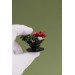 Red and Green Succulent Phone Grip