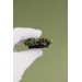 Red and Green Succulent Phone Grip
