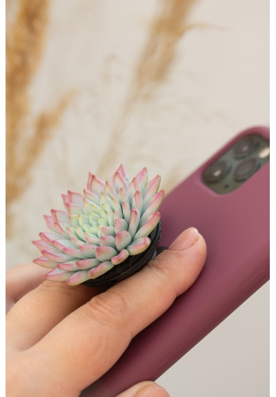 Purple Blue Succulent Phone Grip Holder/Beautiful Mobile Grip