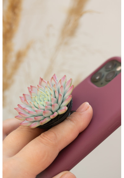 Purple Blue Succulent Phone Grip Holder Beautiful Mobile Grip