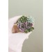 Succulent phone grip, echeveria accessory phone holder, cellphone cover accessory, phone grip, polymer clay phone grip, succulent