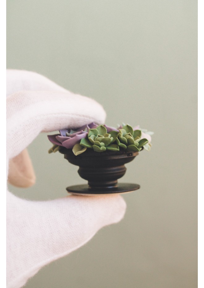 Purple, Green, Grey, and Blue Succulent Phone Grip
