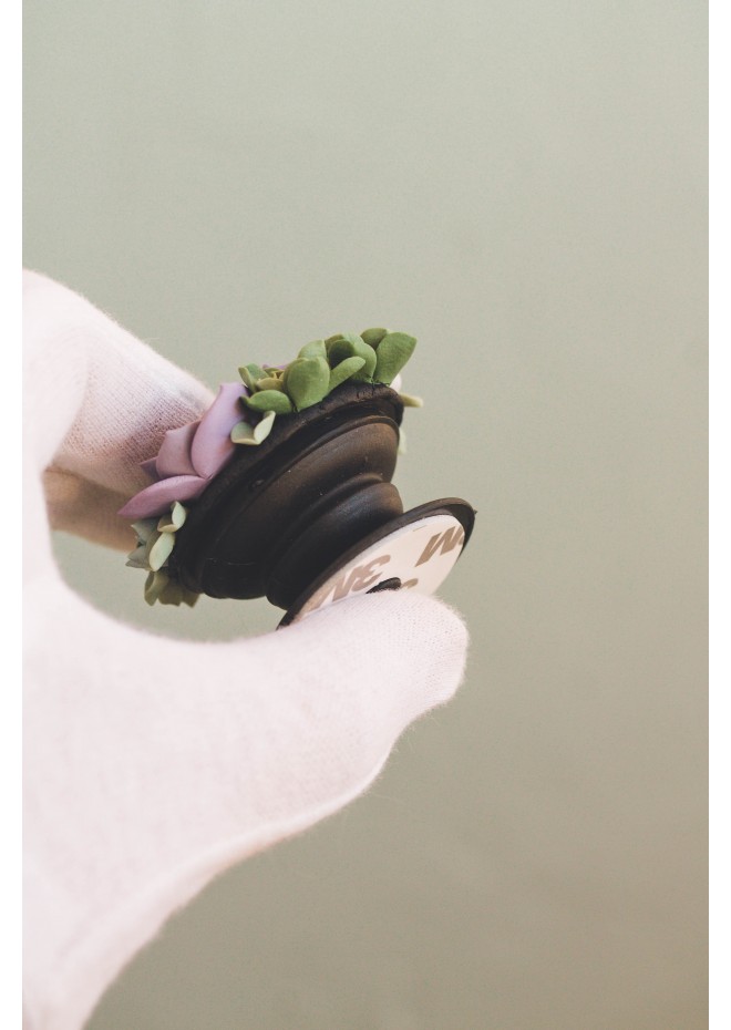 Purple, Green, Grey, and Blue Succulent Phone Grip