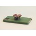 Green and Pink, Purple, and Grey Succulent Phone Grip