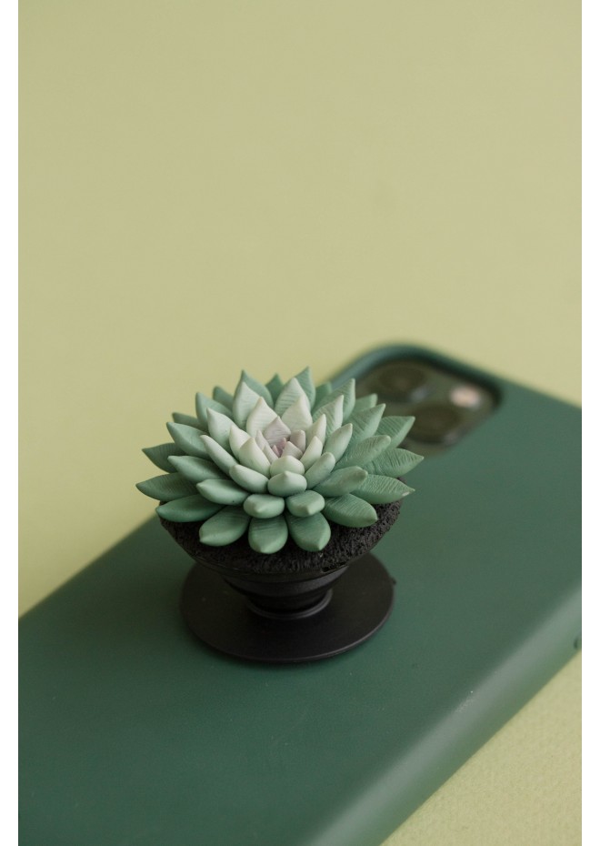 Green Succulent Phone Grip