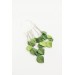 Green Leafs Statement cuff earrings