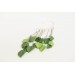 Green Leafs Statement cuff earrings