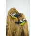 Titmouse birds dandle earrings, made from polymer clay, by EtenIren