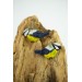 Titmouse birds dandle earrings, made from polymer clay, by EtenIren