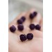 Dark Purple Ranunculus Studs