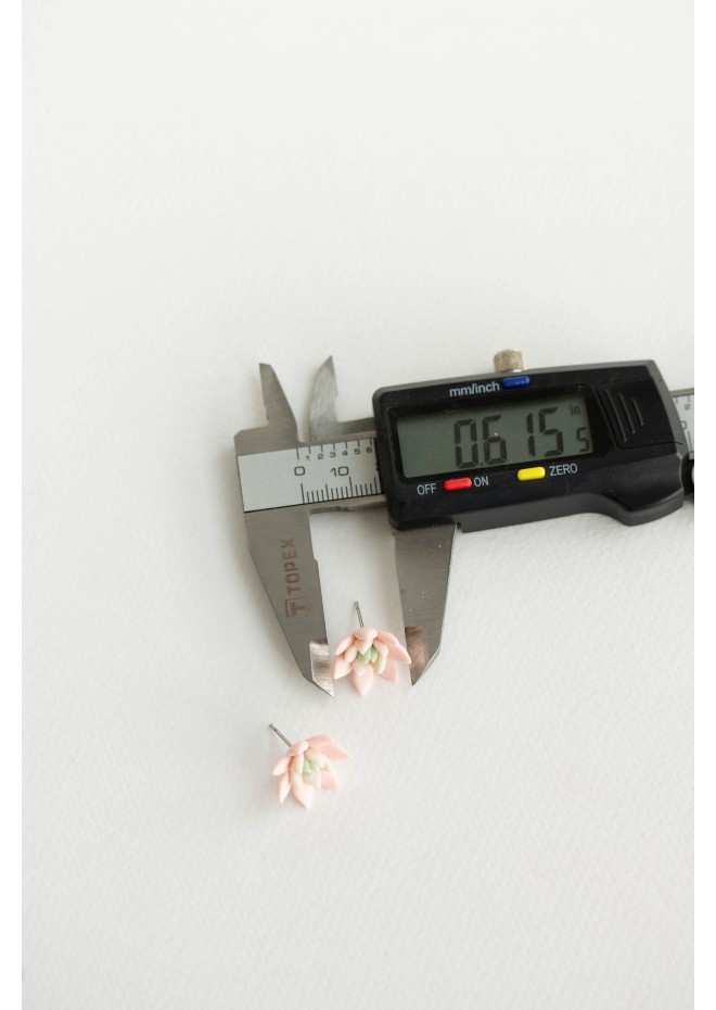 Succulent Stud Earrings - Pink Echeveria Plant Hypoallergenic Stainless steel Earrings Small Succulent Jewelry Gift Plant Lover Gift