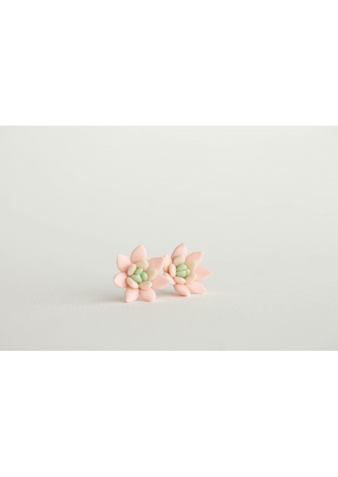 Succulent Stud Earrings - Pink Echeveria Plant Hypoallergenic Stainless steel Earrings Small Succulent Jewelry Gift Plant Lover Gift