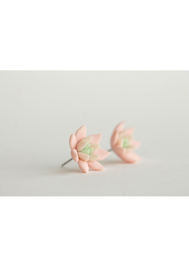 Succulent Stud Earrings - Pink Echeveria Plant Hypoallergenic Stainless steel Earrings Small Succulent Jewelry Gift Plant Lover Gift