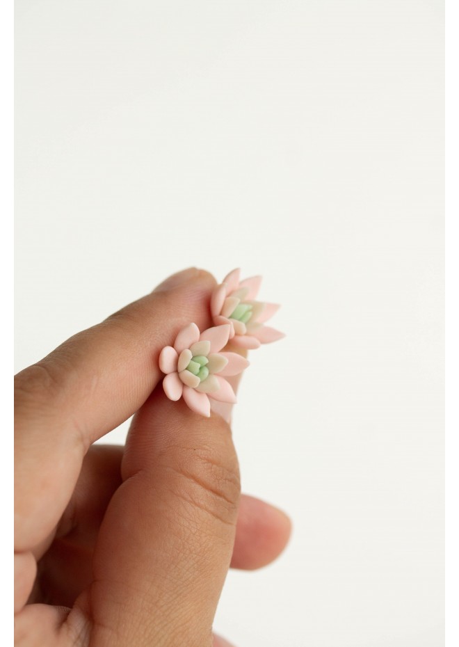 Succulent Stud Earrings - Pink Echeveria Plant Hypoallergenic Stainless steel Earrings Small Succulent Jewelry Gift Plant Lover Gift