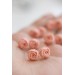 Light Pink Ranunculus Studs