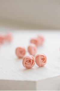Light Pink Ranunculus Studs