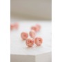 Light Pink Ranunculus Studs