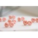 Light Pink Ranunculus Studs