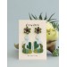 Succulent Stud and Dangle Earrings (Set of 2)