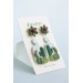 Succulent Stud and Dangle Earrings (Set of 2)