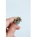 Succulent Stud and Dangle Earrings (Set of 2)