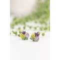 Green, Purple, and Gray Succulent Stud Earrings