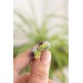 Green, Purple, and Gray Succulent Stud Earrings