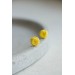 Yellow Ranunculus Studs