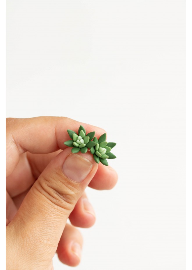 Succulent Stud Earrings - Green Echeveria Plant Hypoallergenic Stainless steel Earrings Small Succulent Jewelry Gift Plant Lover Gift