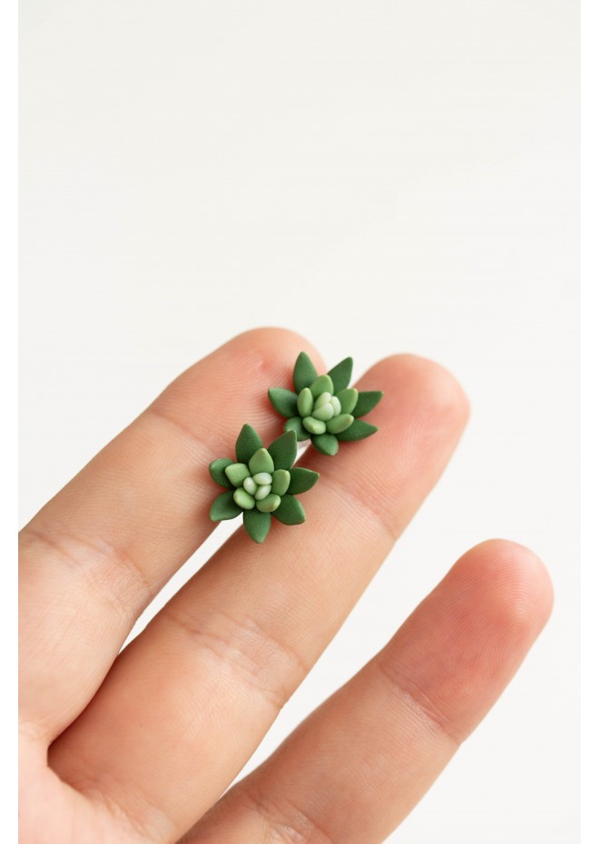 Succulent Stud Earrings - Green Echeveria Plant Hypoallergenic Stainless steel Earrings Small Succulent Jewelry Gift Plant Lover Gift