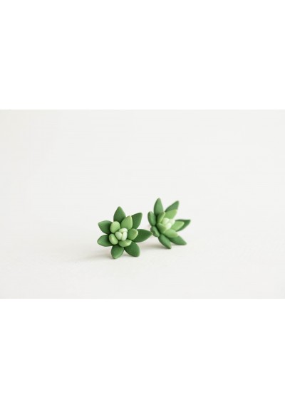 Green Hypoallergenic Succulent Studs