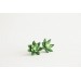 Succulent Stud Earrings - Green Echeveria Plant Hypoallergenic Stainless steel Earrings Small Succulent Jewelry Gift Plant Lover Gift